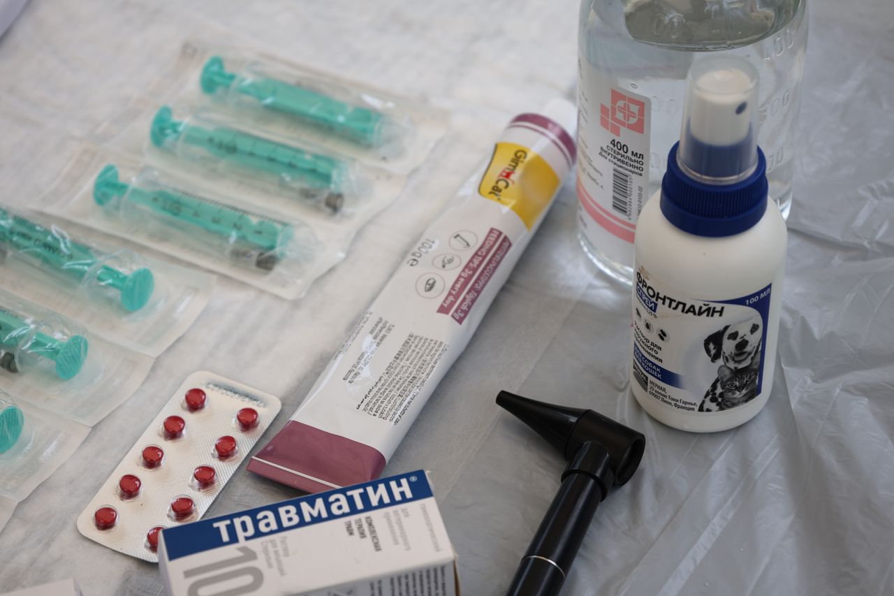 About Veterinary medical supplies including syringes, pills, and spray displayed on a table.