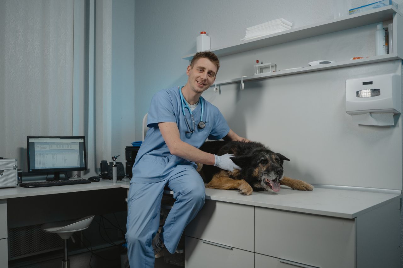 About Veterinarian examining a black dog in a modern clinic setting. Professional care in a veterinary office.